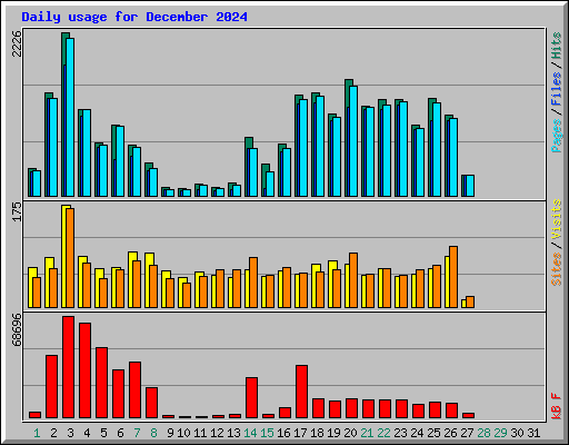 Daily usage for December 2024