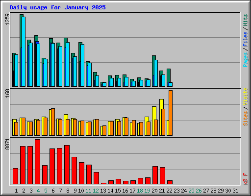 Daily usage for January 2025