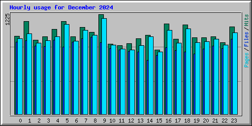 Hourly usage for December 2024