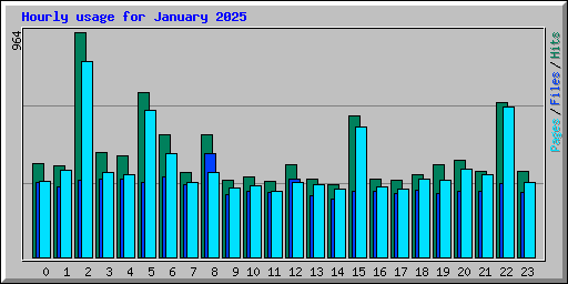 Hourly usage for January 2025